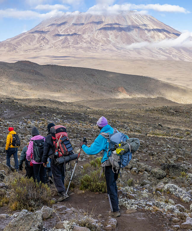 2121�Ƿ���(�й���)�����ٷ���վ